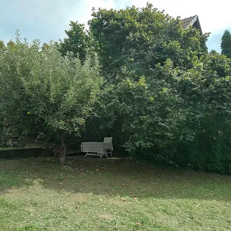 Vila Zvoncica Vrdnik Exterior photo