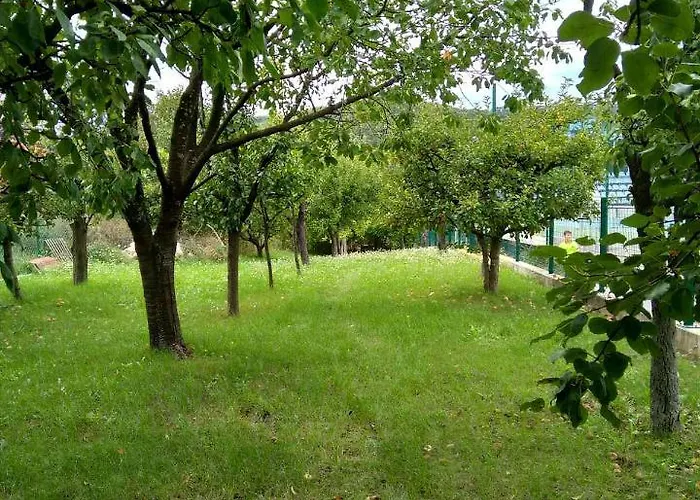 Vila Zvoncica