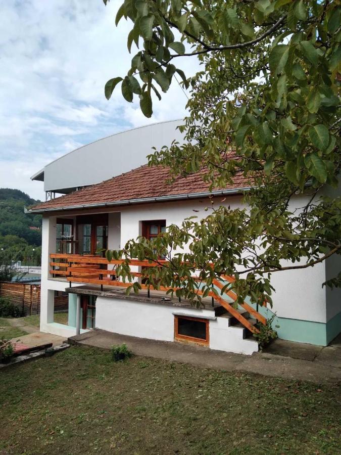 Zvoncica * Vrdnik